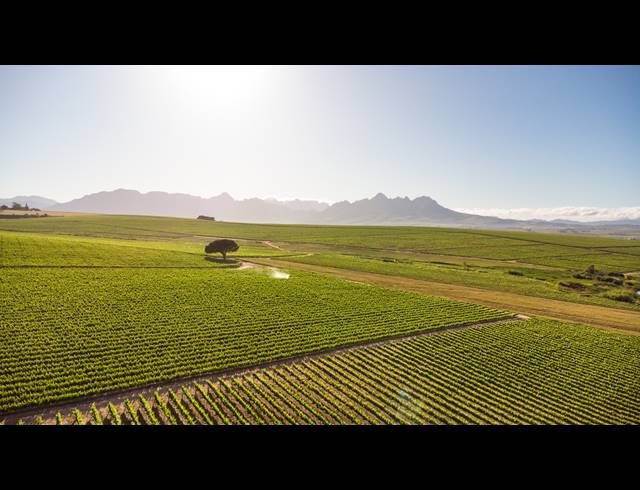 94HA FARM FOR SALE IN STELLENBOSCH FARMS